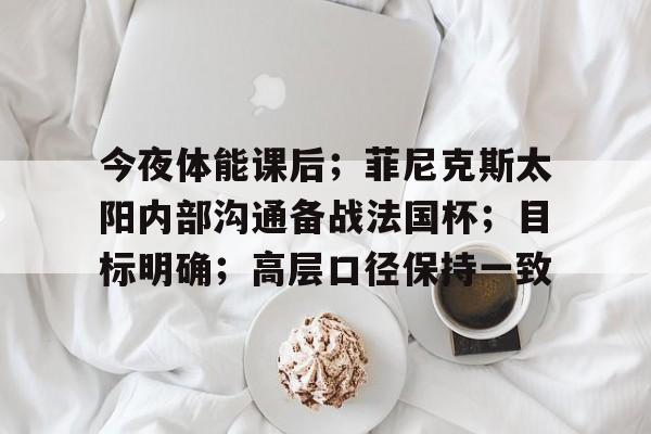 关于今夜体能课后；菲尼克斯太阳内部沟通备战法国杯；目标明确；高层口径保持一致的信息-爱游戏